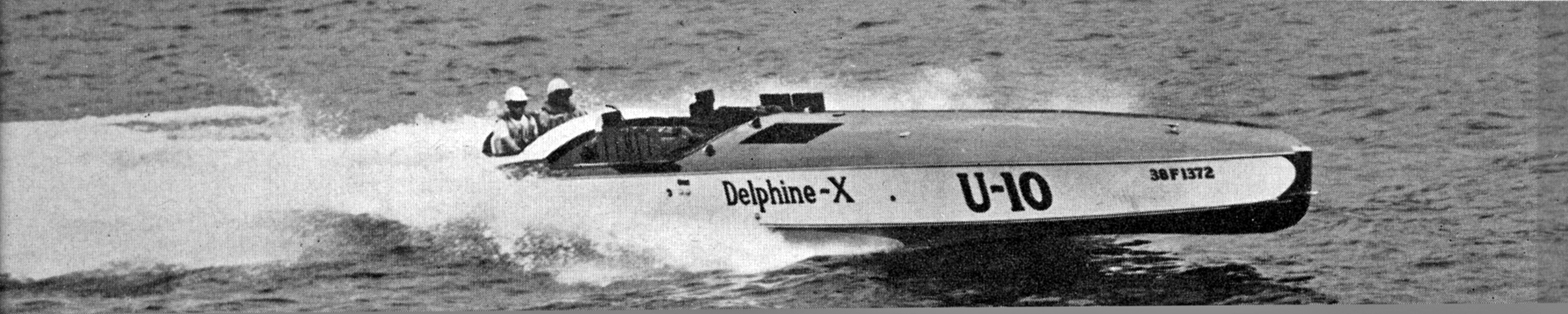 >Delphine X 