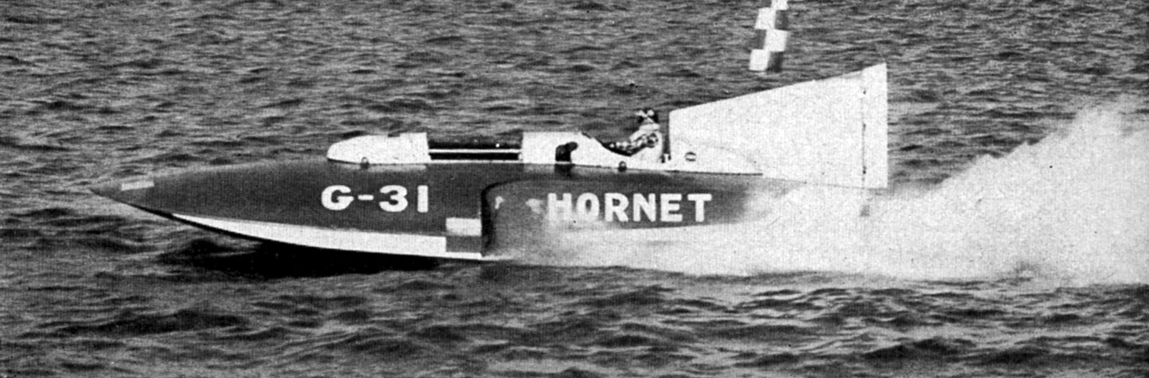 Hornet